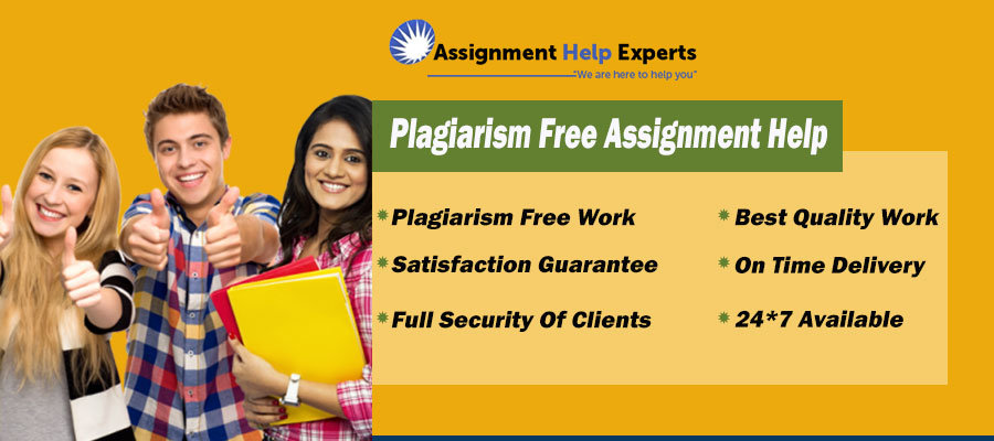 plagiarism free assignment help