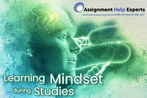 University Assignment Help