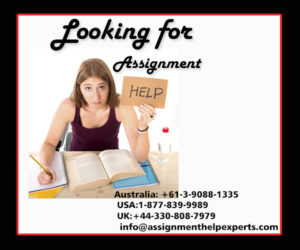 assignment writing help