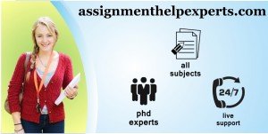 Get online assignment in Canberra